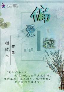 书名是岑稚初靳时谦