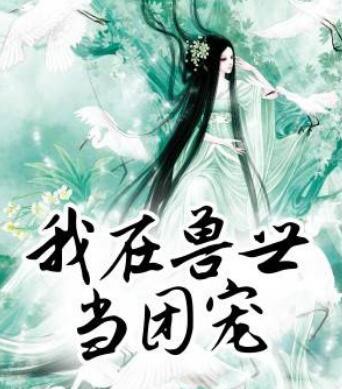 农门丑妇