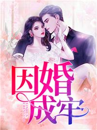 夏曦顾谨